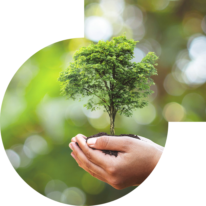 关怀人类、文化、环境与社会